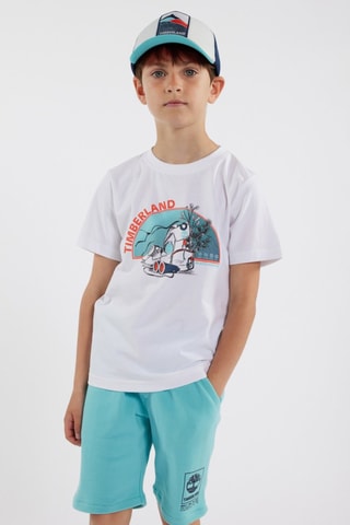 Pet - Blauw - Timberland