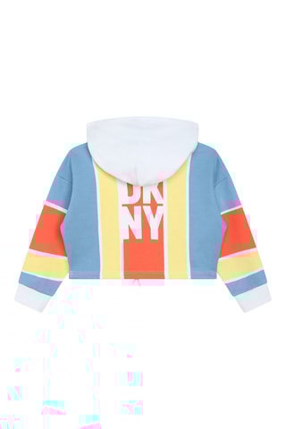 Sweater met Capuchon - Blauw - DKNY