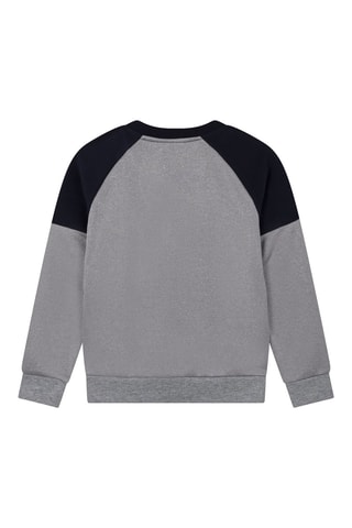 Sweater Gemêleerd Grijs