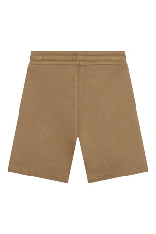 Bermuda - Bruin - Boss