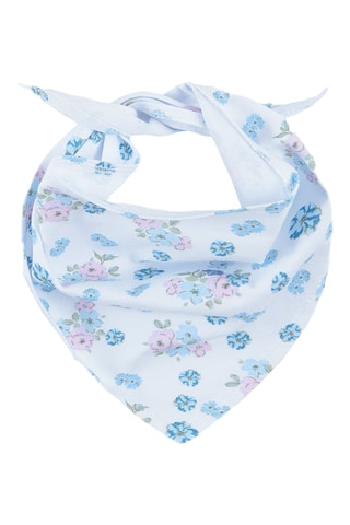 2 bandanas - Ciel et blanc