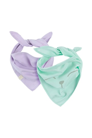2 foulards - Mauve et vert clair
