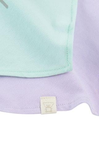 2 foulards - Mauve et vert clair