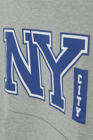 Sweat à capuche - Gris clair chiné