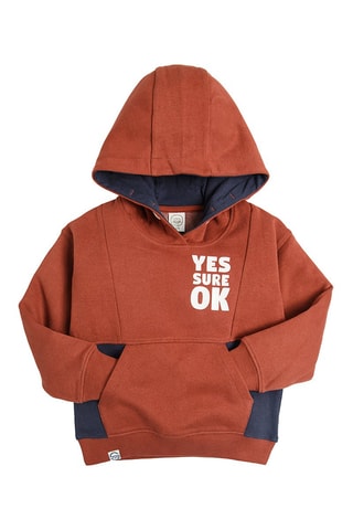 Sweat à capuche - Rouge brique chiné