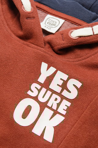 Sweat à capuche - Rouge brique chiné