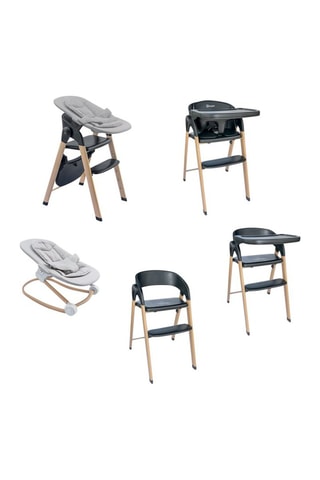 Kinderstoel Levels - Vanaf 10 maanden - T/m 110 kg