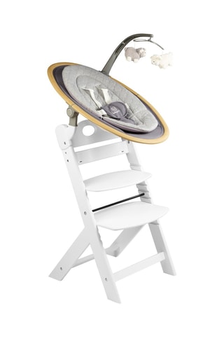 Kinderstoel Family Pro met Harnas en Adapter - Tot 75 kg