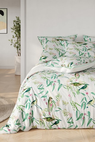 Parure copripiumino in cotone 57 fils/cm² Robin - Verde e bianco 