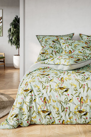 Parure copripiumino in cotone 57 fils/cm² Robin - Verde