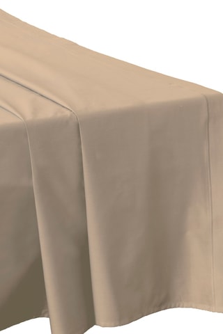 Lenzuolo sopra in cotone 80 fili/cm² - Corda