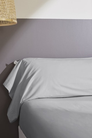 Funda de almohada de percal de algodón 80 hilos/cm² Bally - Gris