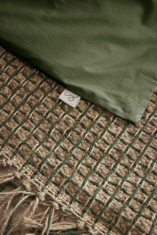 Funda de almohada de percal de algodón 80 hilos/cm² Bally - Verde