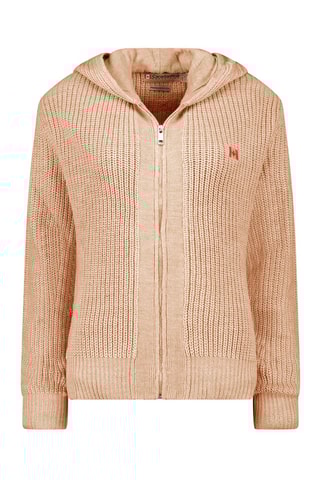 Gilet à capuche Flexibuseak - Taupe