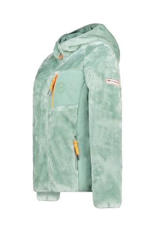 Sweat polaire à capuche Toscaneak - Vert