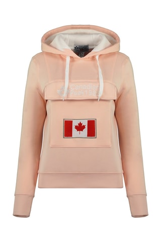 Sweat à capuche Gadreak Vieux rose