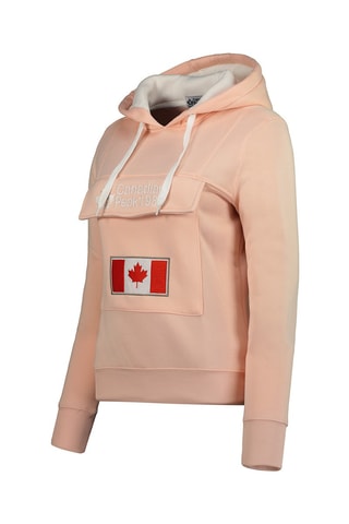 Sweat à capuche Gadreak Vieux rose