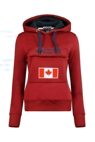 Sweat à capuche Gadreak Bordeaux