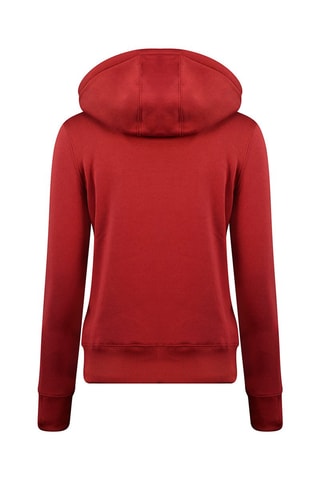 Sweat à capuche Gadreak Bordeaux