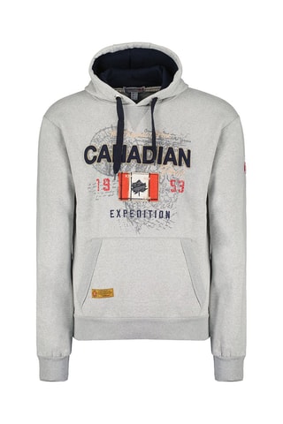 Sweat Guitreak - Gris