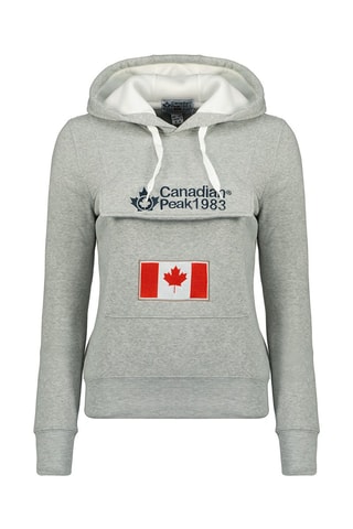 Sweat à capuche Gadreak Gris chiné