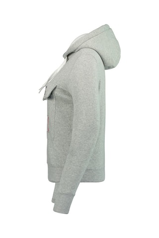 Sweat à capuche Gadreak Gris chiné