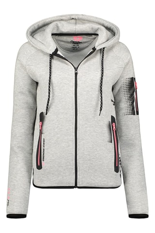 Sweat à capuche  Fanatic Gris clair