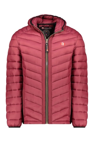 Doudoune regular à capuche Carliteak - Bordeaux