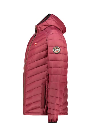 Doudoune regular à capuche Carliteak - Bordeaux