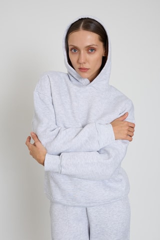 Sweat com capuz - Cinzento-claro