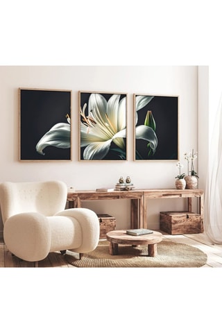 Tríptico - 70 x 50 cm