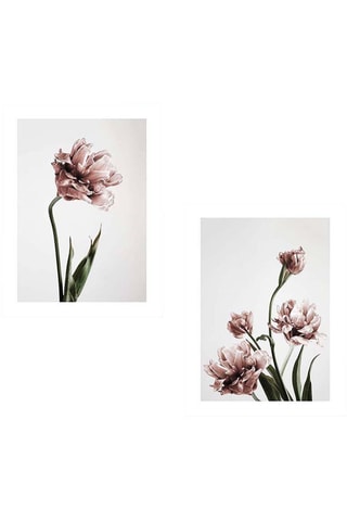 Díptico - 30 x 40 cm - 60 x 40 cm