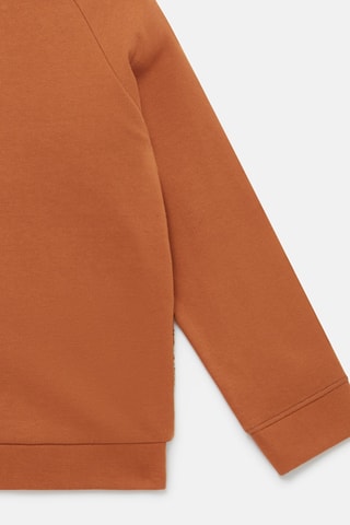 Sweat à oreilles - Marron