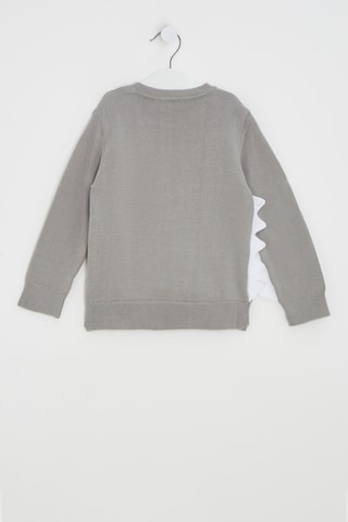 Pull - Gris