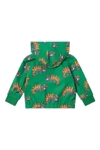 Coupe-vent à capuche - Vert