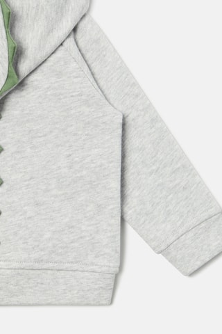 Sweat à capuche - Gris