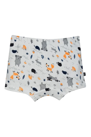 2 boxers de algodão  Azul e cinzento - Azul e cinzento