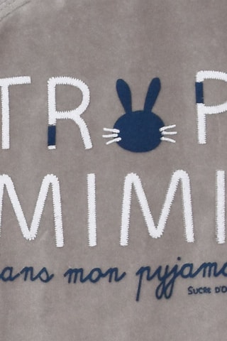 Babygro Irwin Cinzento - Cinzento