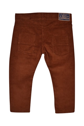 Calças em veludo - Castanho - Castanho