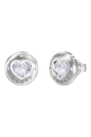 Oorbellen Rolling - Zilverkleurig