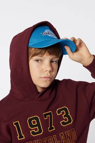 Sudadera de algodón orgánico - Burdeos - Timberland