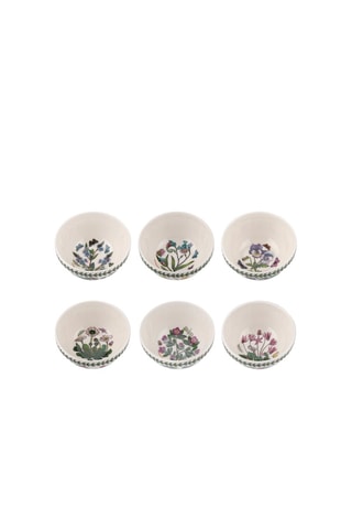 6 boles Botanic Garden