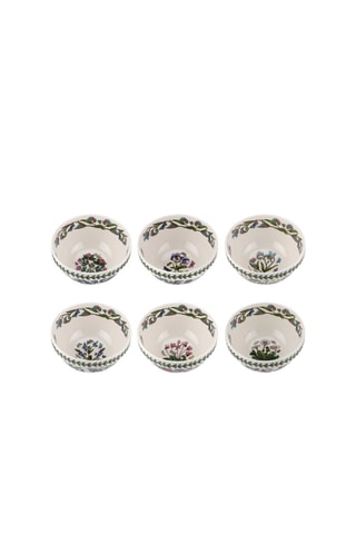 6 boles Botanic Garden