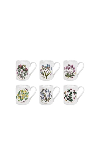 6 tazas de té Botanic Garden - 28 cl