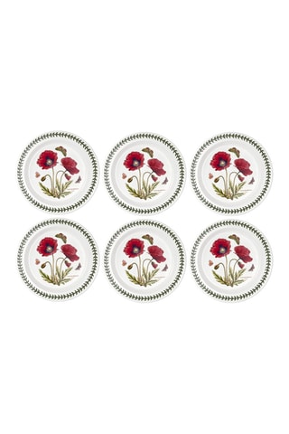 6 platos llanos Botanic Garden - 27 cm