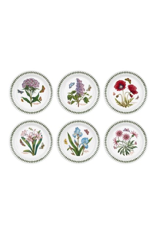 6 platos llanos Botanic Garden - 21,5 cm