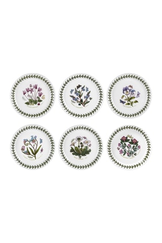6 platos llanos Botanic Garden - 16,5 cm