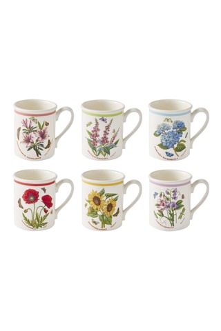 6 tazas Botanic Garden Meadows - 26 cl