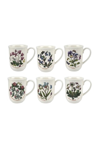6 tazas Botanic Garden - 32 cl