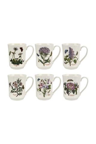 6 tazas Botanic Garden - 39 cl